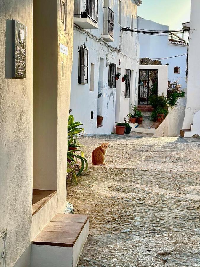 Гостевой дом El Corralon Фрихилиана Экстерьер фото